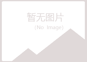 青岛崂山思天金属有限公司